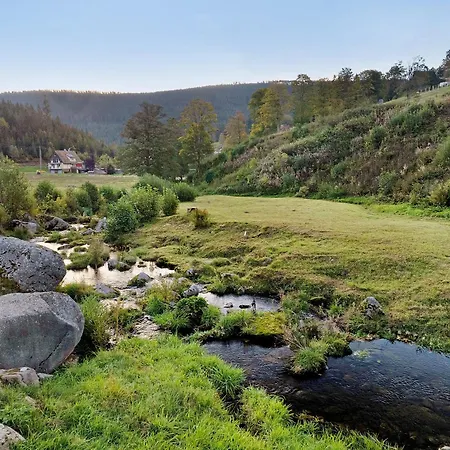 Haus Loewen * Forbach